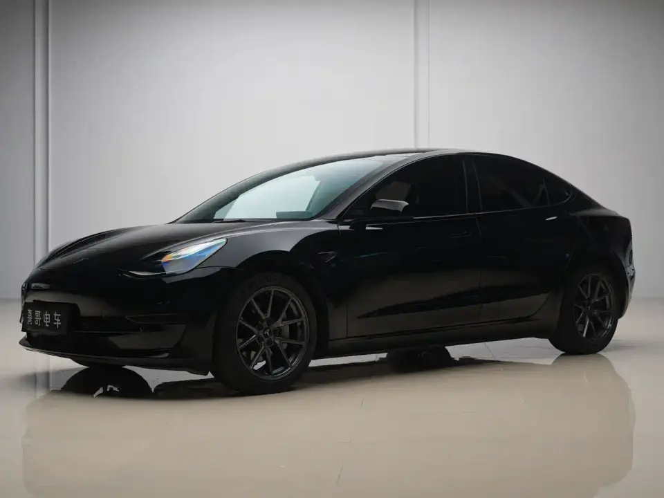 Tesla Model 3 Model Rear-Wheel Drive Version 2022