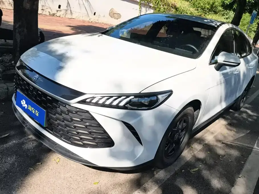BYD Qin PLUS DM-i Smart Drive 55KM Leader 2025