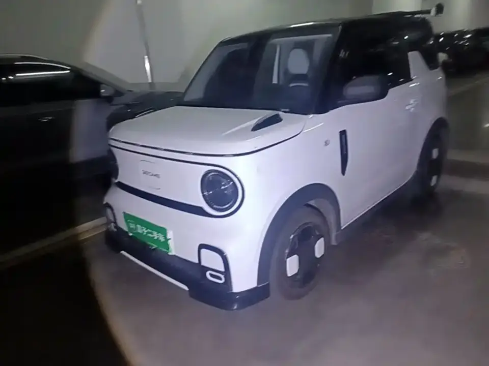 Geely Galaxy Panda Model Year 210km Panda Kart 2024