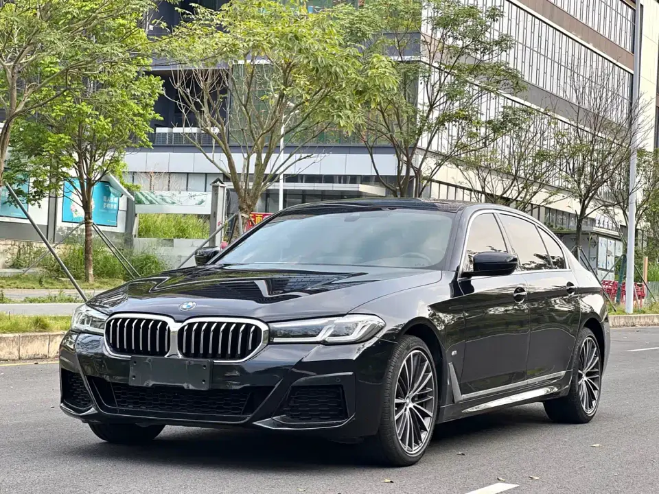 BMW 5 Series 530Li Leading M Sport Package 2021