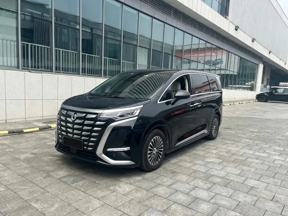 Denza D9 DM-i 980 AWD Premium 2024