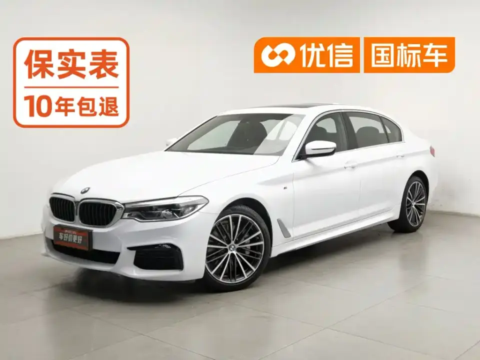 BMW 5 Series 530Li Leading M Sport Package 2020