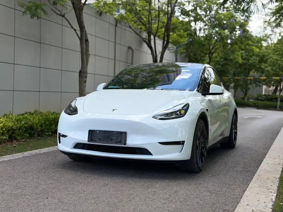 Tesla Model Y Performance High-Performance All-Wheel Drive Version 2022