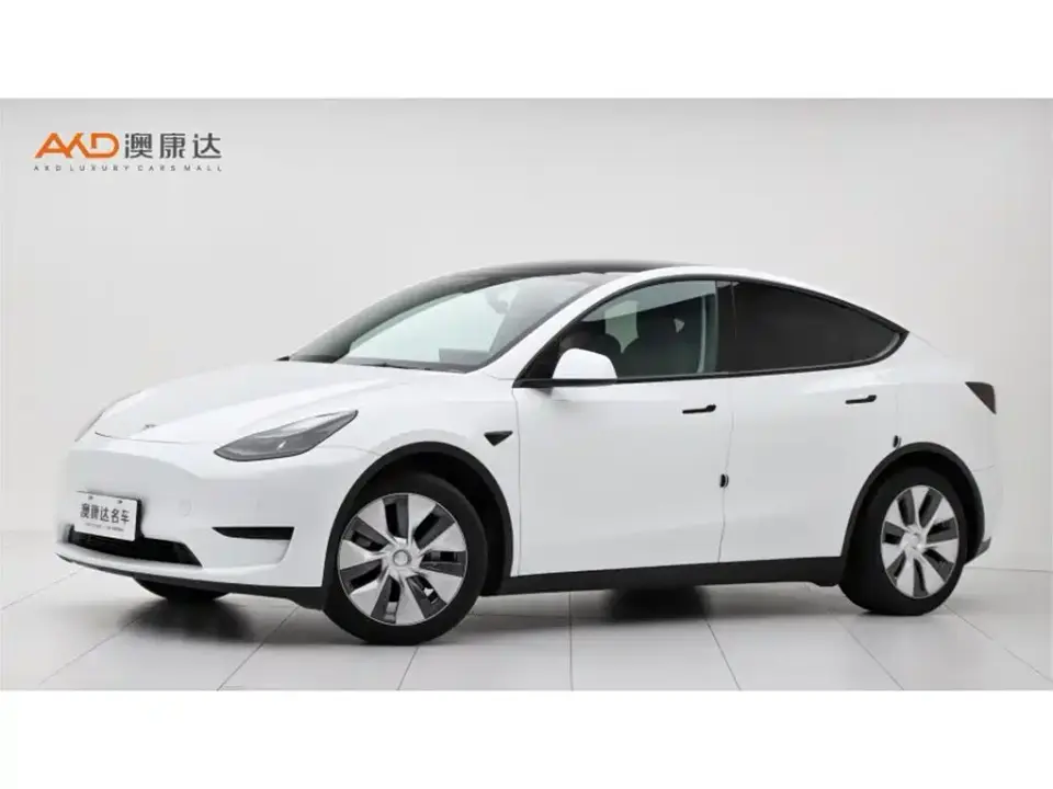 Tesla Model Y Rear-Wheel Drive Version 2022