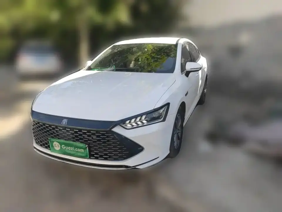 BYD Qin PLUS Champion Edition DM-i 55KM Leading 2025