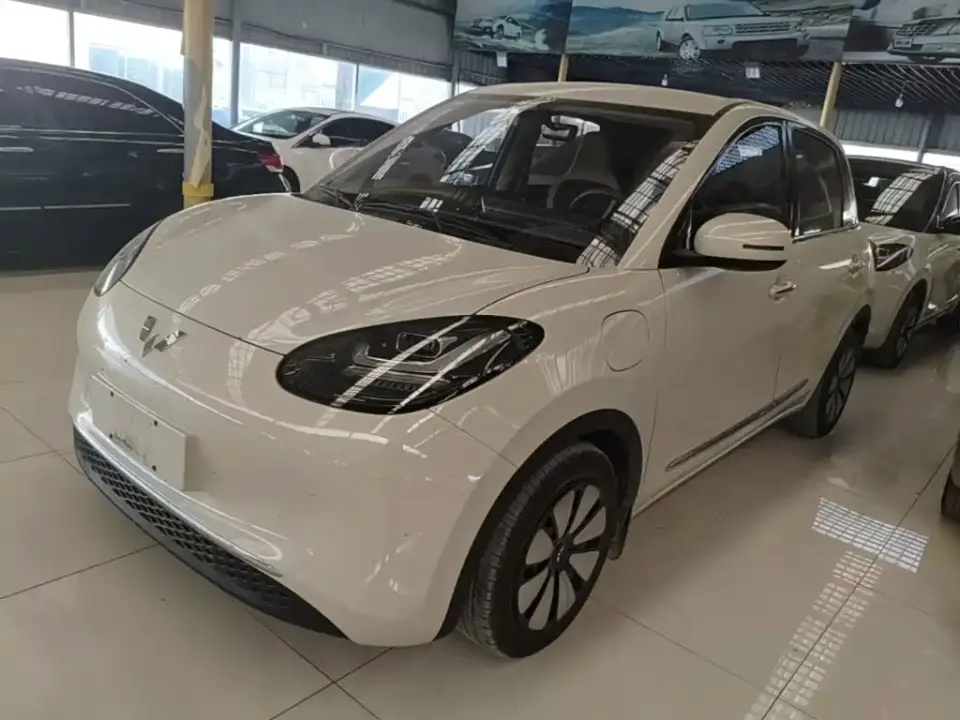 Wuling Motors Wuling Bingo 333km Comfort Edition 2024