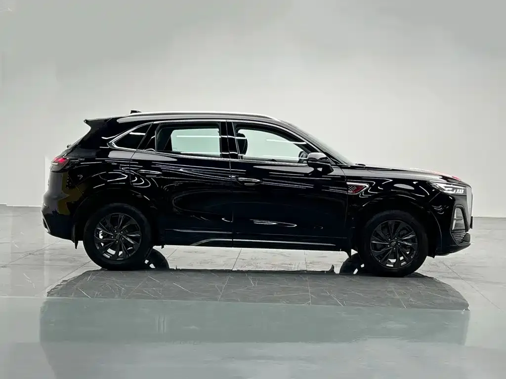 Hongqi HS5 2.0T Flag Leader Pro Edition 2024 — фото 7