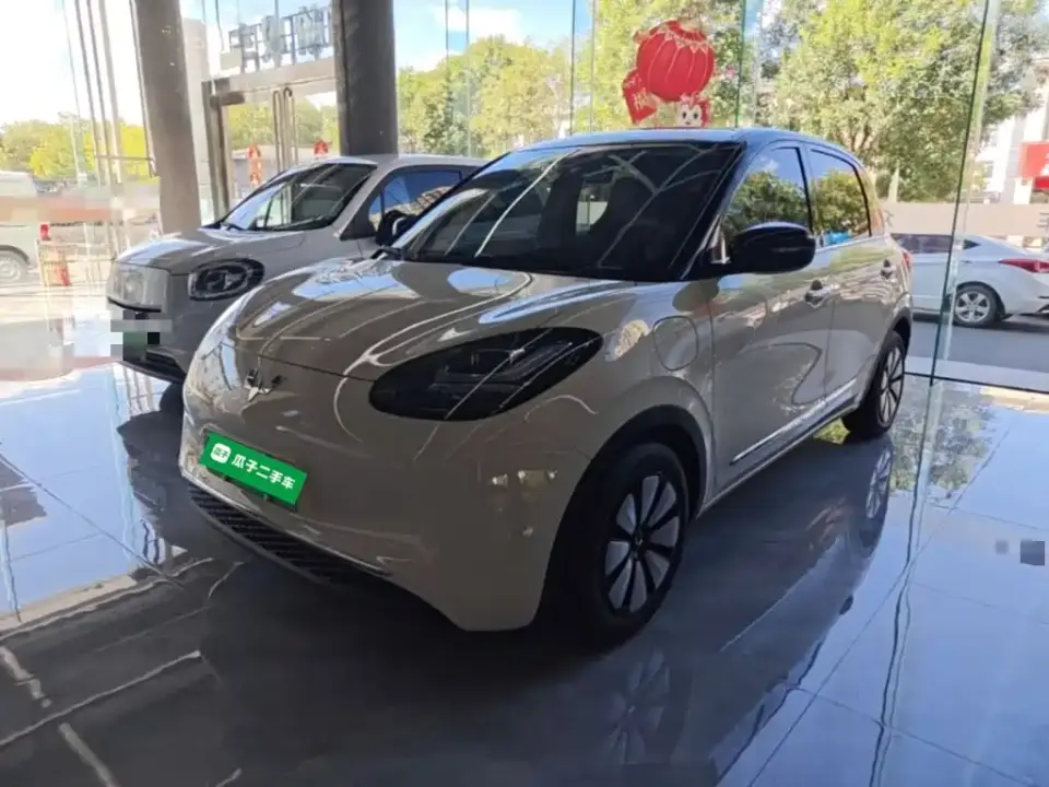 Wuling Motors Wuling Bingo Model 333km Joy Edition 2025