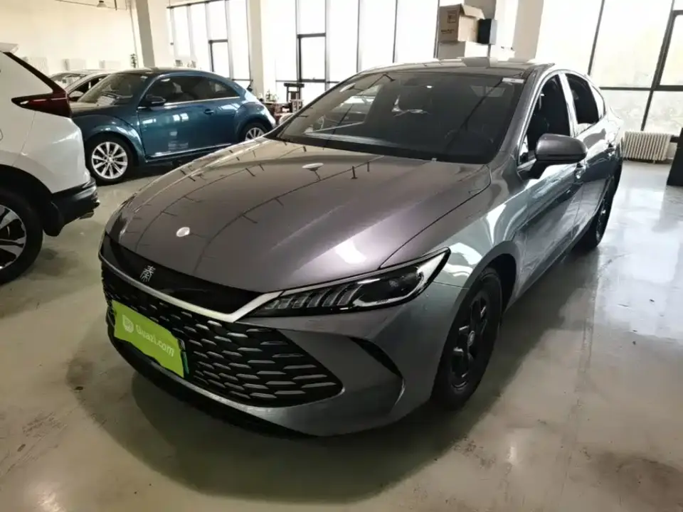 BYD Qin PLUS DM-i Smart Drive 55KM Leader 2025