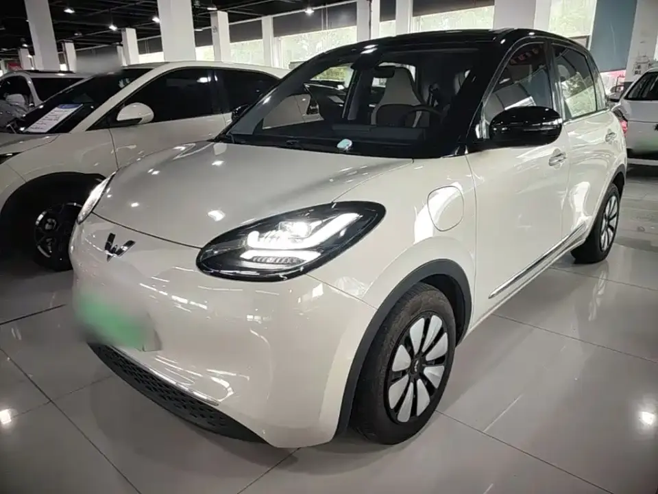 Wuling Motors Wuling Bingo 410km Lingxi Premium Edition 2024
