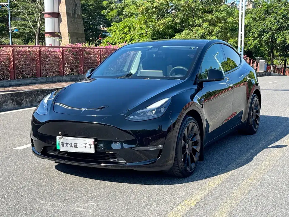 Tesla Model Y Standard Range Rear-Wheel Drive 2021