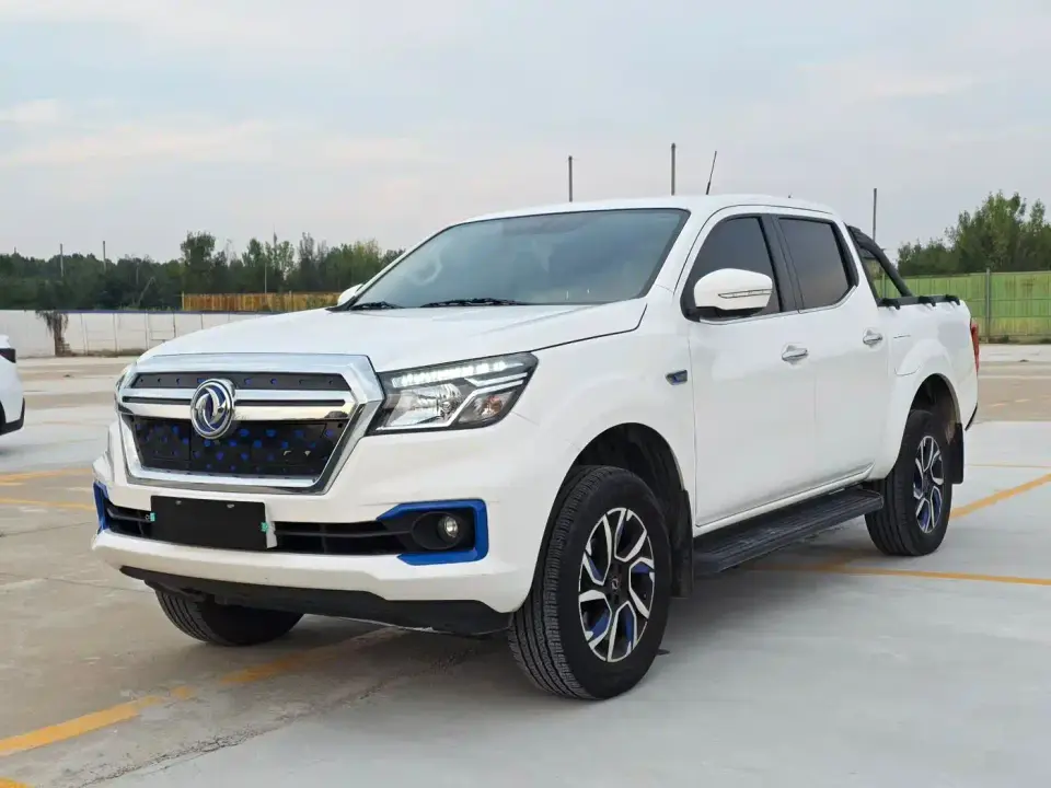 Dongfeng Rich 6 New Energy Bucket Flagship Edition 350km 2023
