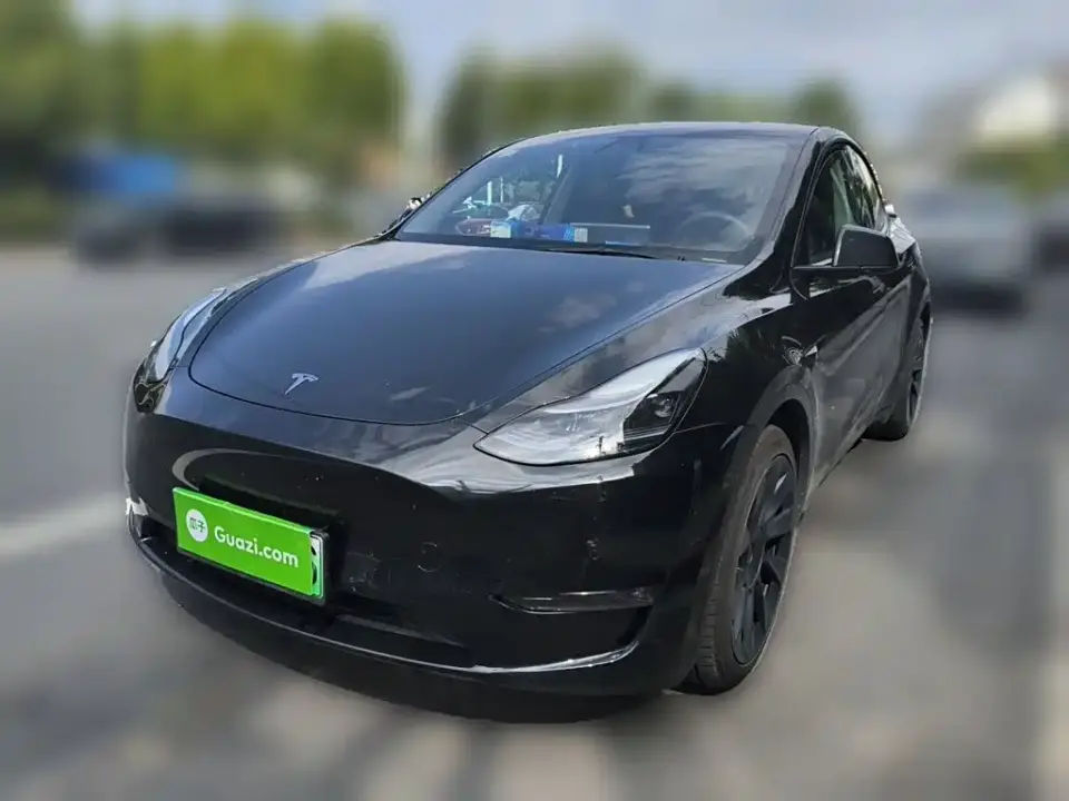 Tesla Model Y Standard Range Rear-Wheel Drive 2021