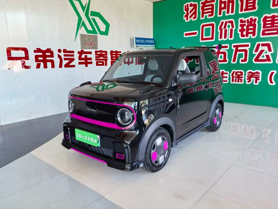 Geely Galaxy Panda Model Year 210km Panda Kart 2025
