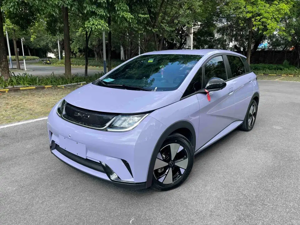BYD Dolphin 420km Freedom Edition 2024