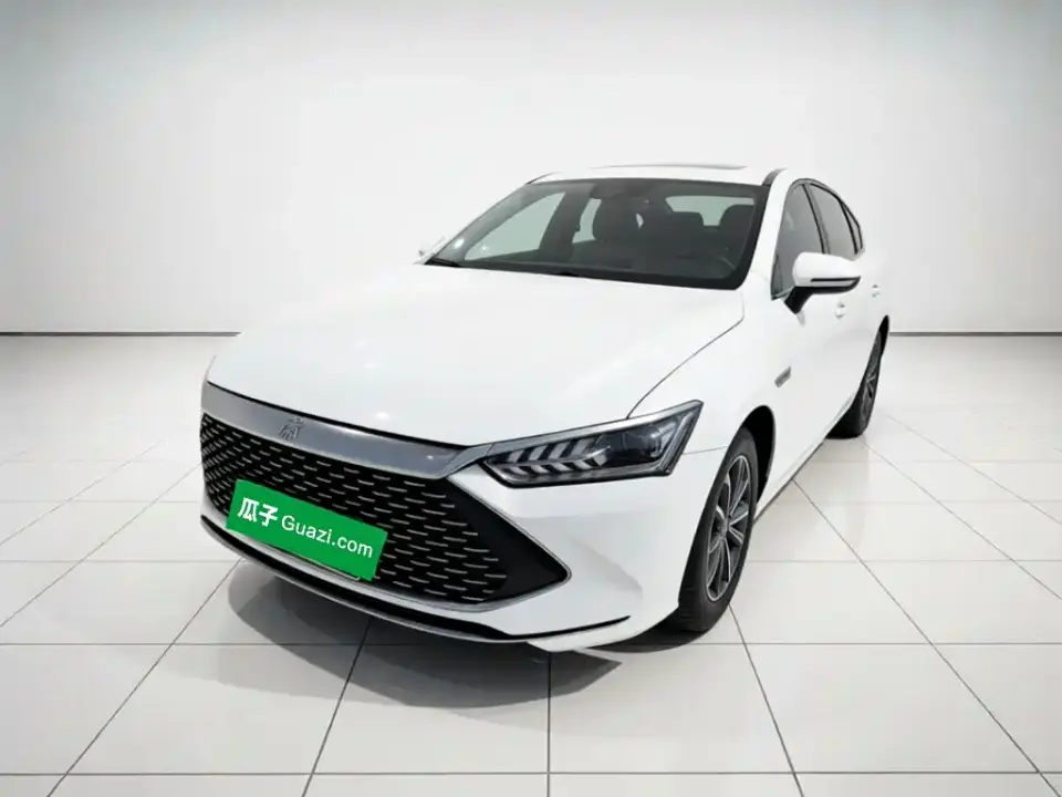 BYD Qin PLUS Glory Edition DM-i 55KM Leading 2024