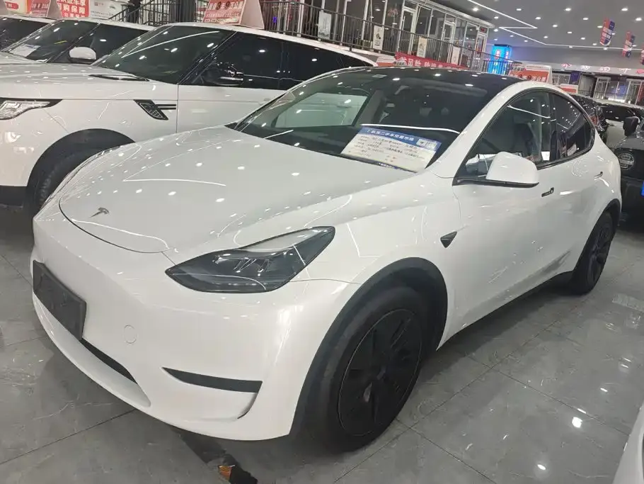 Tesla Model Y Rear-Wheel Drive Version 2024