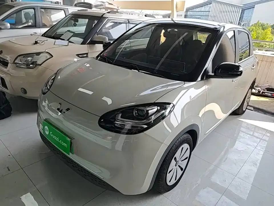 Wuling Motors Wuling Bingo Model 203km Lite Enjoyment Edition 2023