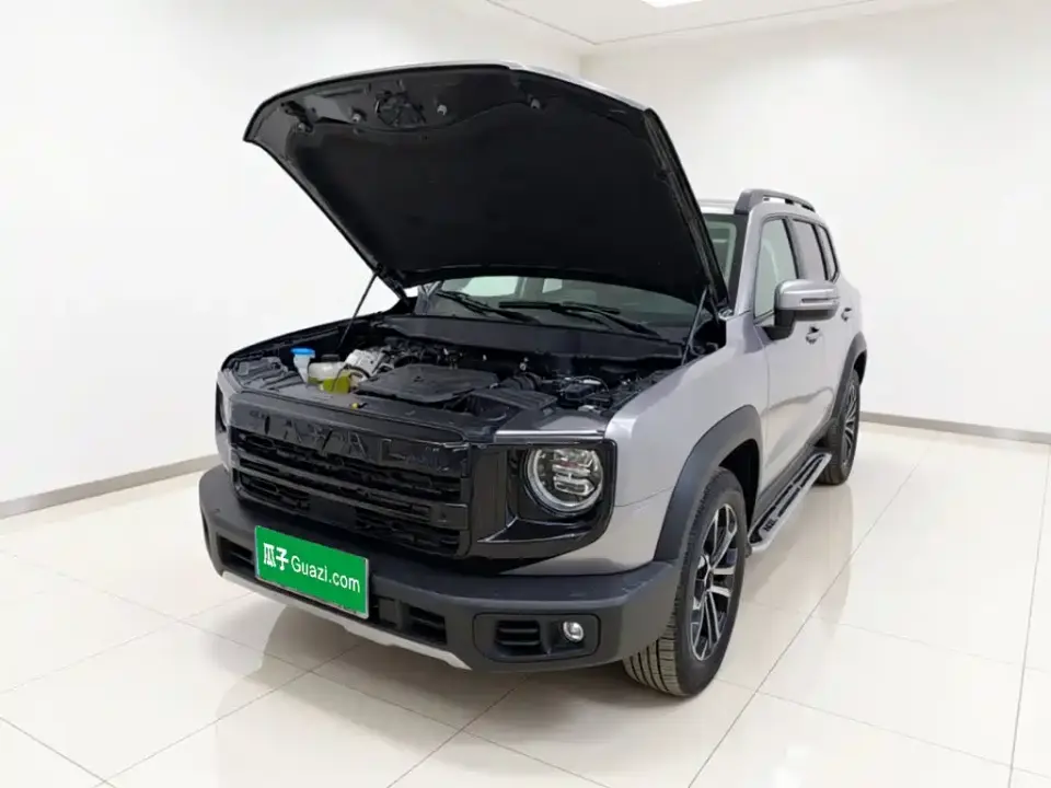 Haval Big Dog 1.5T DCT Border Collie Edition 2025