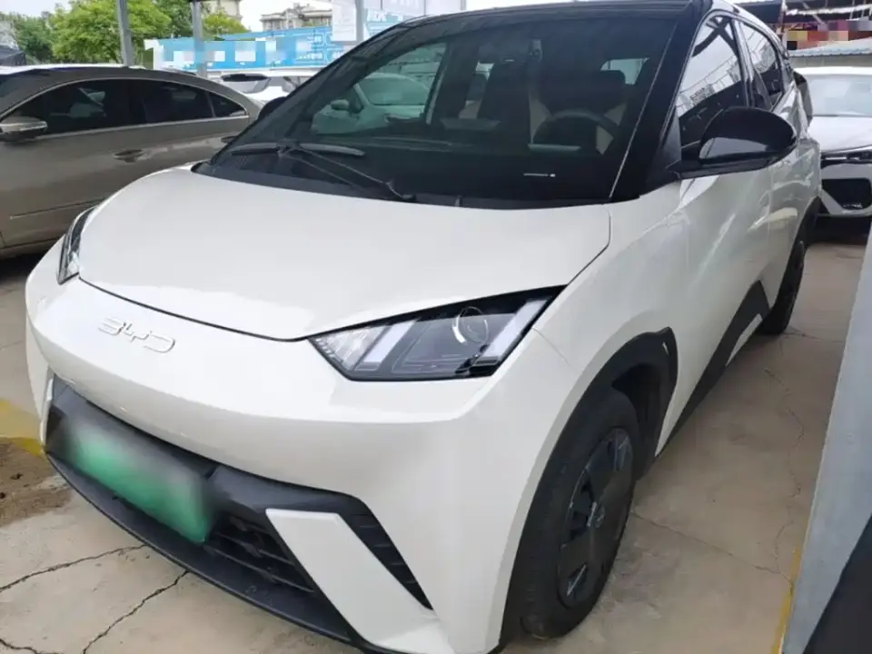 BYD Seagull Glory Edition 305km Vitality Edition 2024