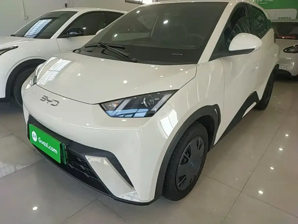 BYD Seagull Glory Edition 305km Vitality Edition 2024