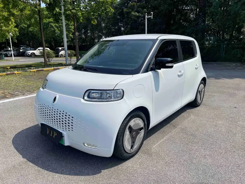 ORA White Cat 401km Long Range Model 2021