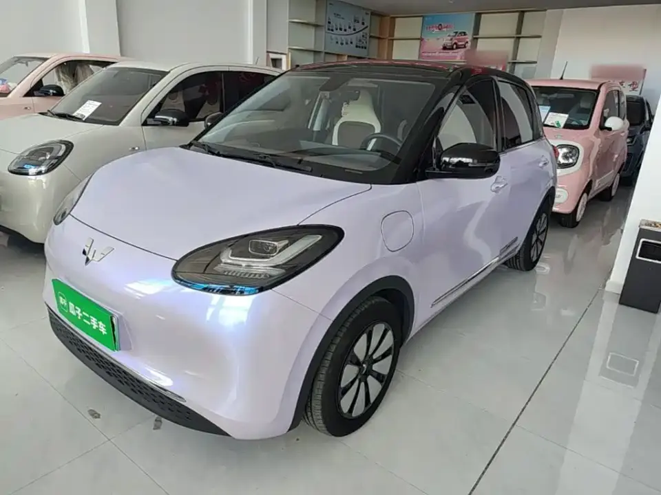 Wuling Motors Wuling Bingo 410km Smart Premium Edition 2024