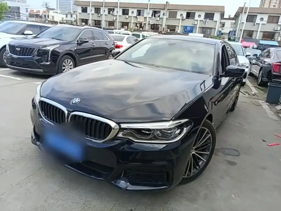 BMW 5 Series 530Li Leading M Sport Package 2020