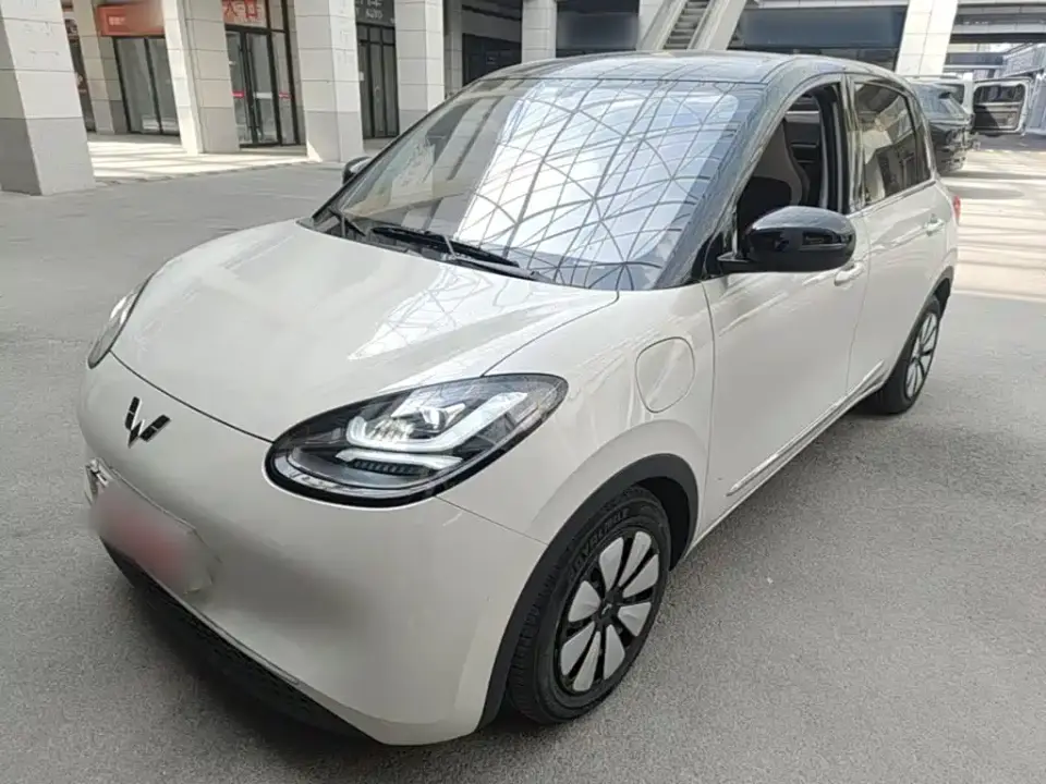 Wuling Motors Wuling Bingo 333km Comfort Edition 2024
