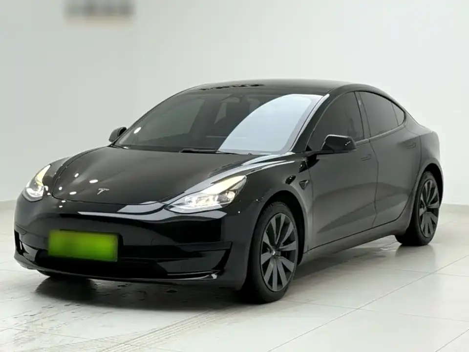 Tesla Model 3 Model Rear-Wheel Drive Version 2022