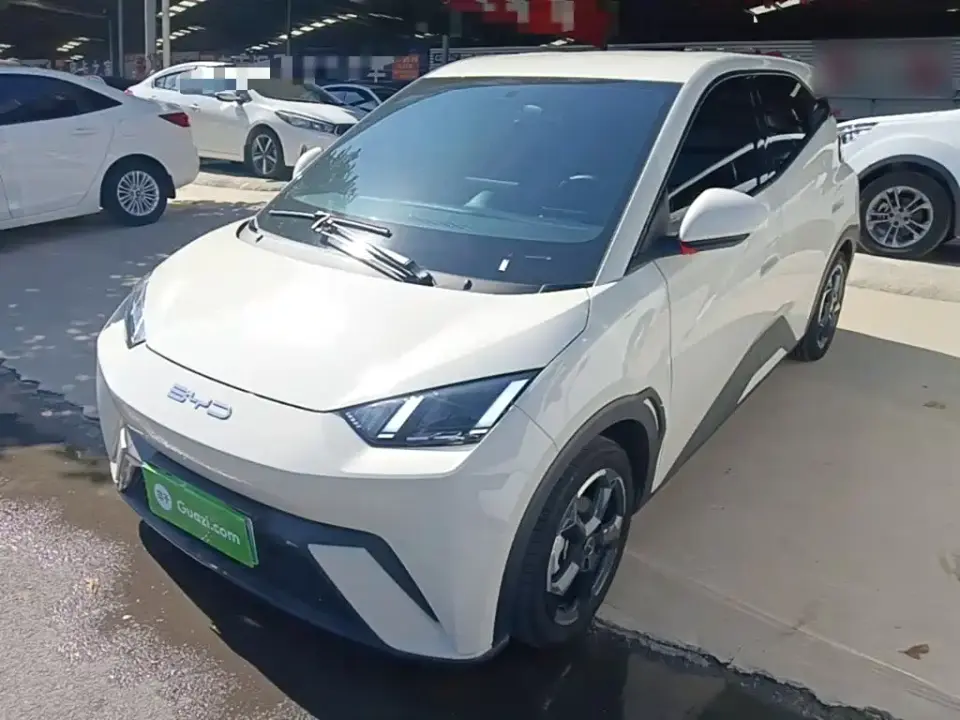 BYD Seagull Freedom Edition 2024