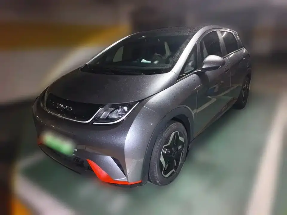 BYD Dolphin Model 405km Fashion Edition 2022