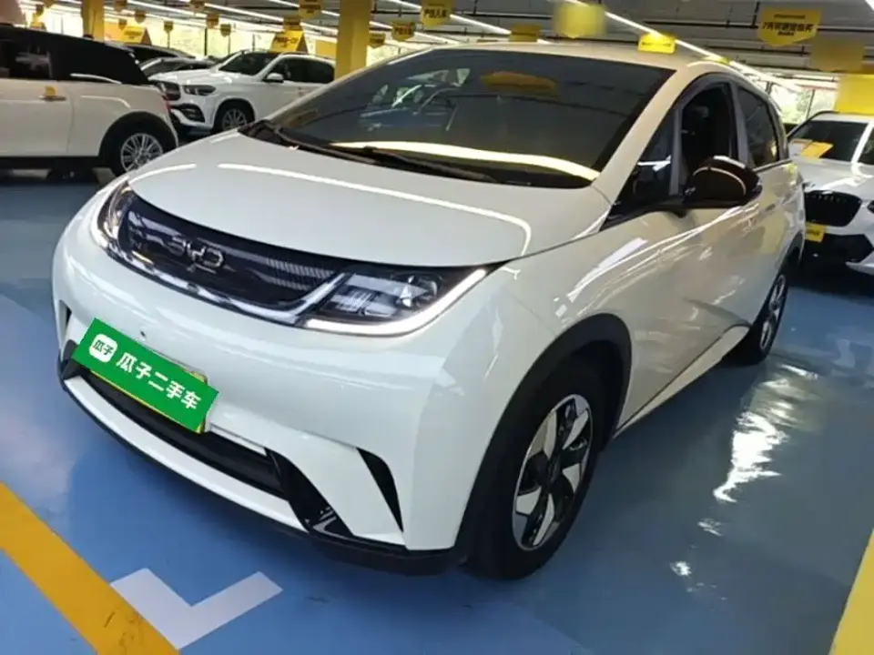 BYD Dolphin 420km Freedom Edition 2025