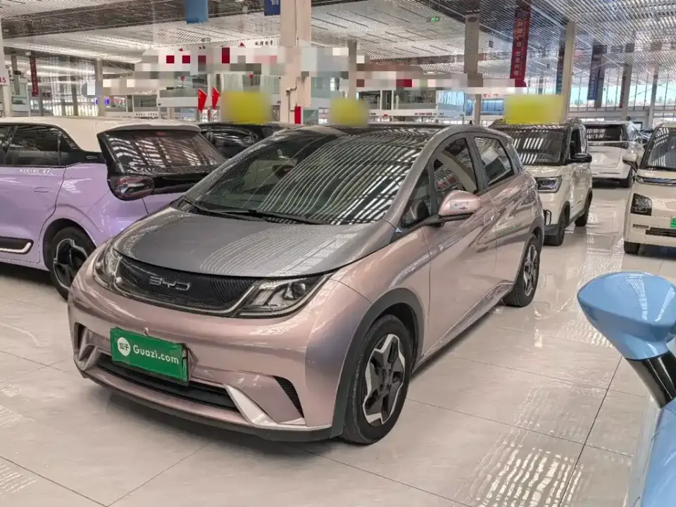 BYD Dolphin Model 405km Fashion Edition 2021
