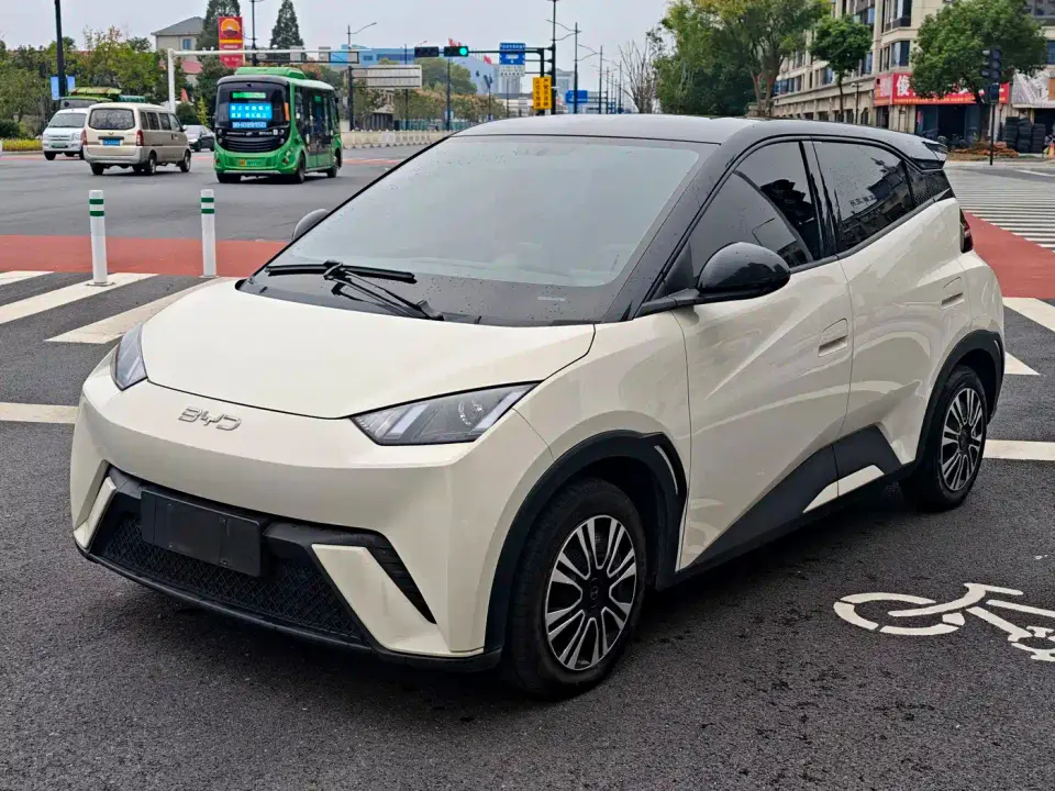 BYD Seagull Glory Edition 305km Freedom Edition 2024
