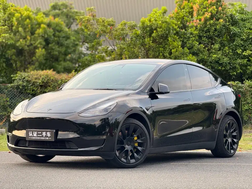 Tesla Model Y Standard Range Rear-Wheel Drive 2021