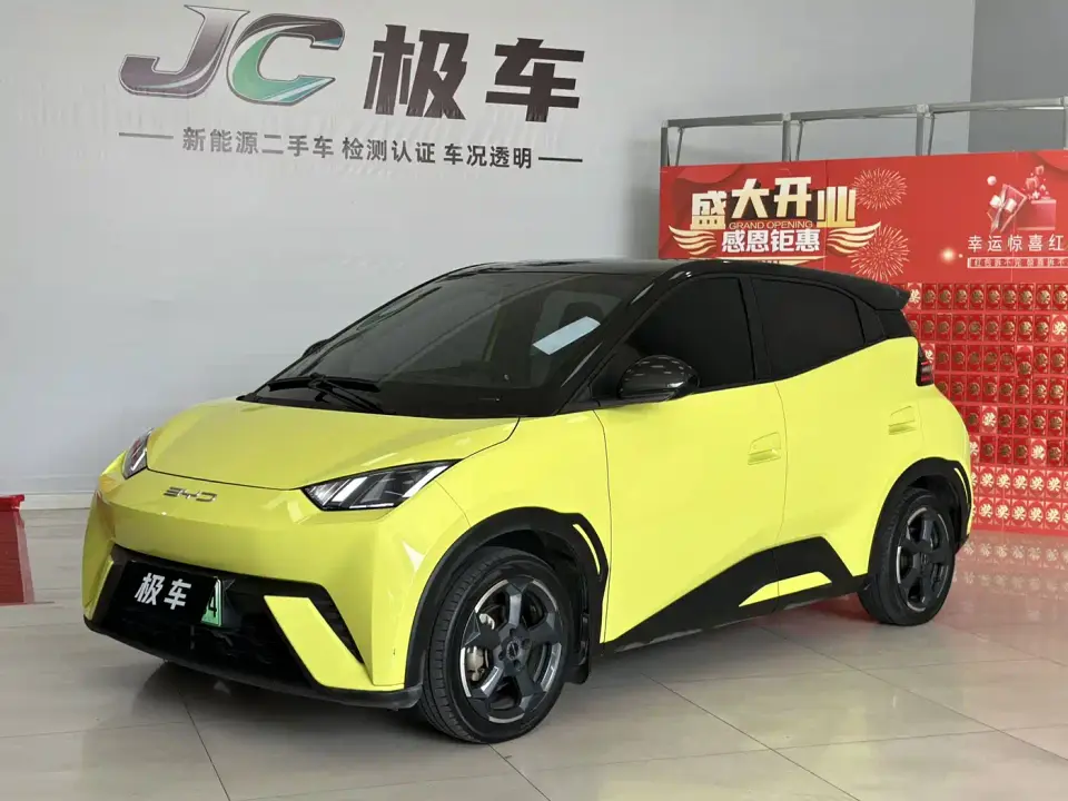 BYD Seagull Freedom Edition 2023