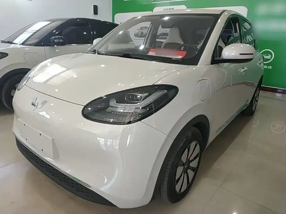 Wuling Motors Wuling Bingo 333km Comfort Edition 2024