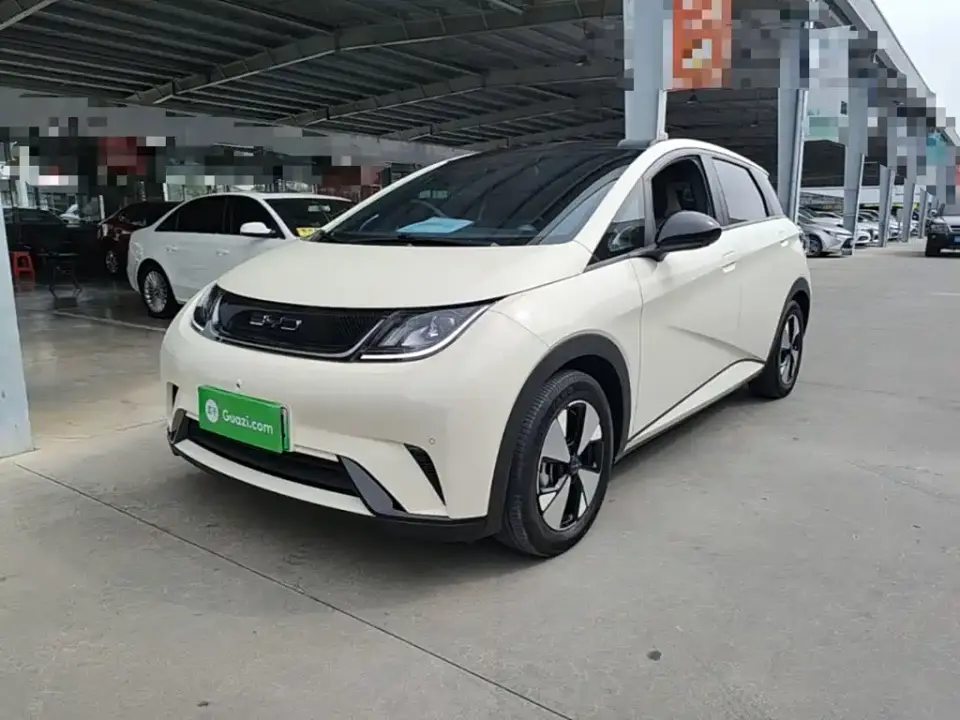 BYD Dolphin 420km Fashion Edition 2024