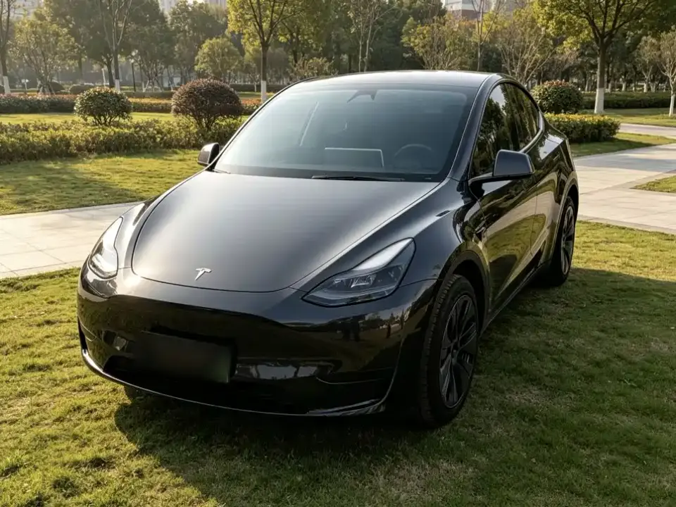 Tesla Model Y Rear-Wheel Drive Version 2024