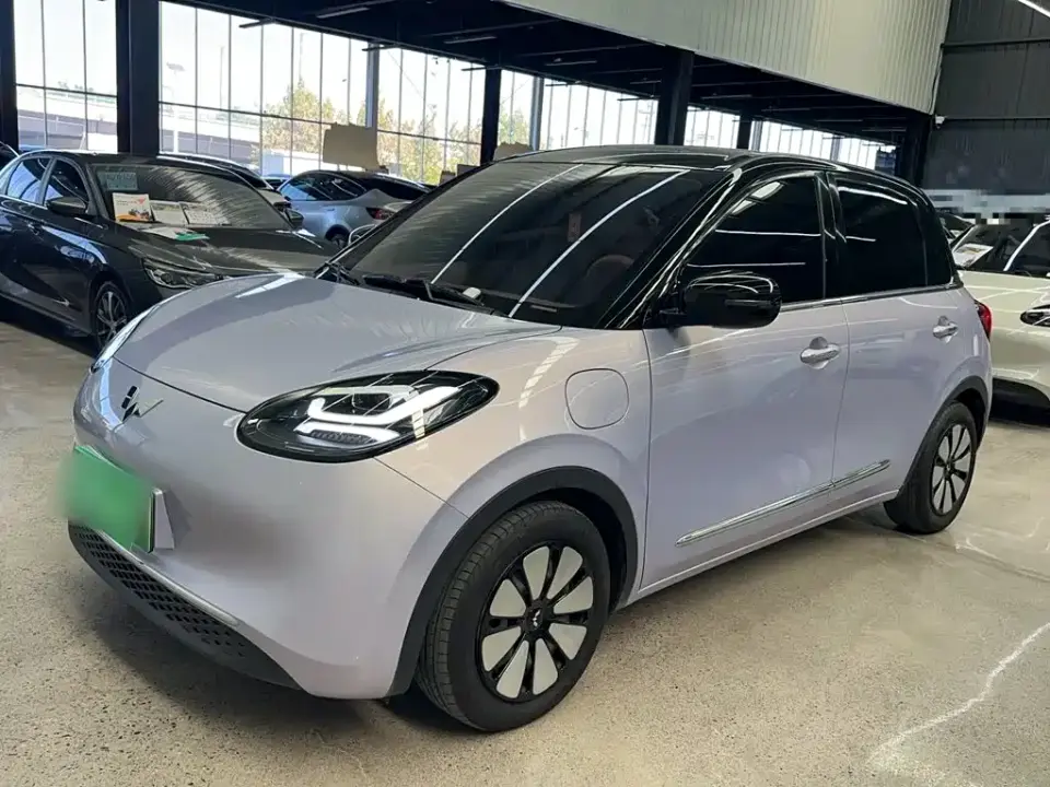 Wuling Motors Wuling Bingo Model 333km Smart Connect 2025