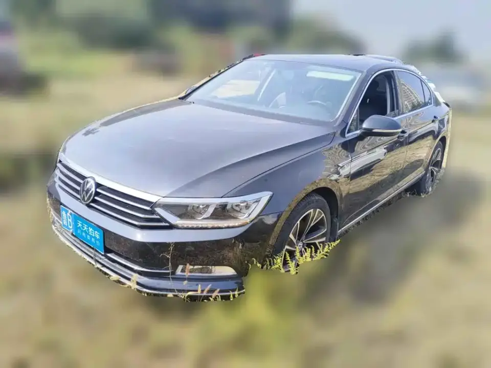 Volkswagen Magotan 330TSI DSG Leading China V 2020