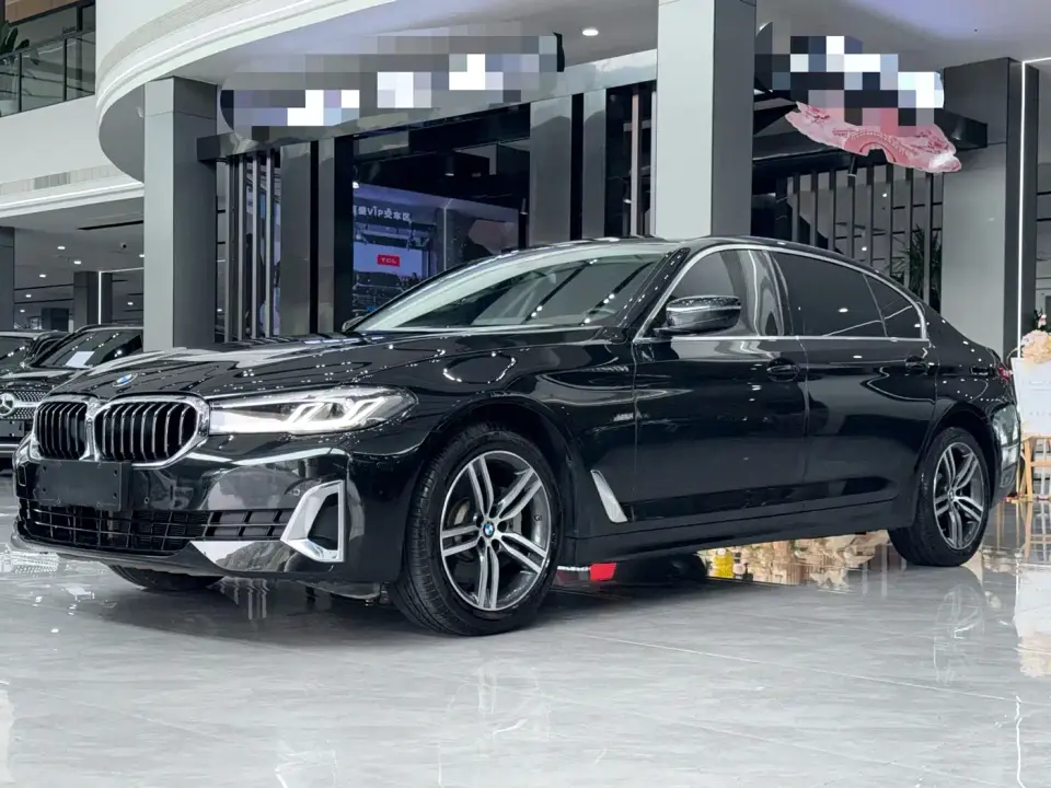 BMW 5 Series 530Li Leading Luxury Package 2020