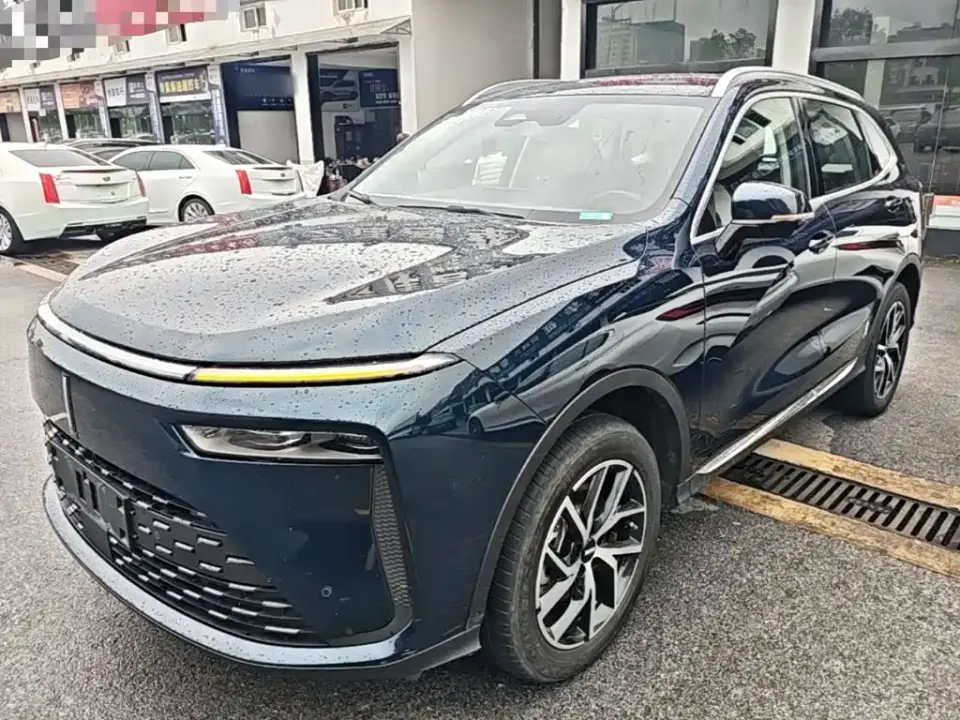 Wey Latte DHT-PHEV 1.5T 2WD Large Cup 2024