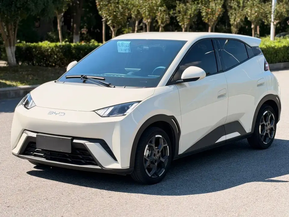 BYD Seagull 305km Freedom 2025