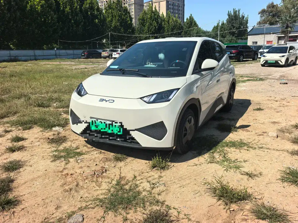 BYD Seagull Smart Drive Edition 305km Vitality Version 2025