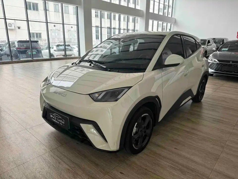 BYD Seagull Flying Edition 2024