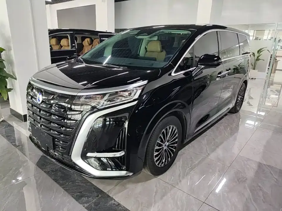 Denza D9 DM-i 980 AWD Flagship 2024