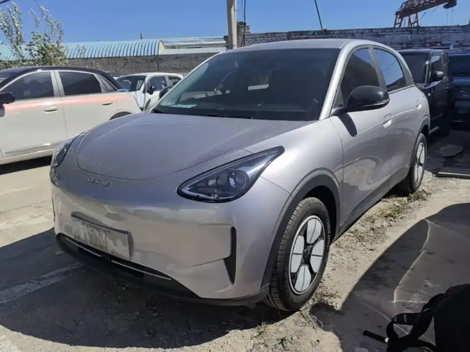 Geely Galaxy Starry Wish Edition 310km Youth Version 2026