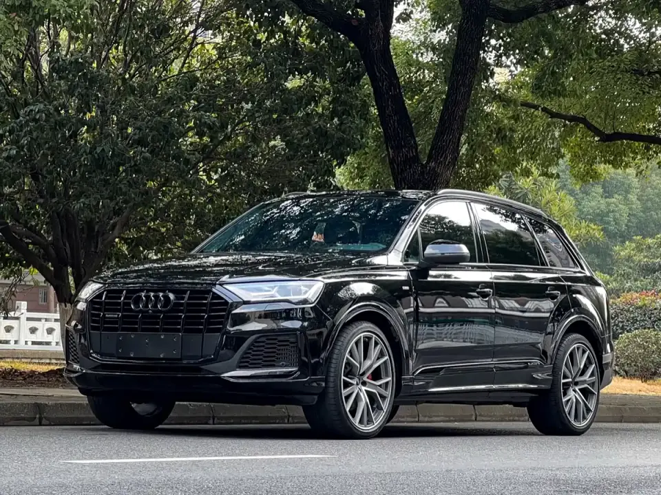 Audi Q7 55 TFSI quattro S line Ice & Snow Sport Edition 2023